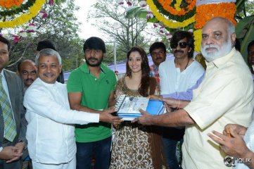 Bengal Tiger Movie Opening